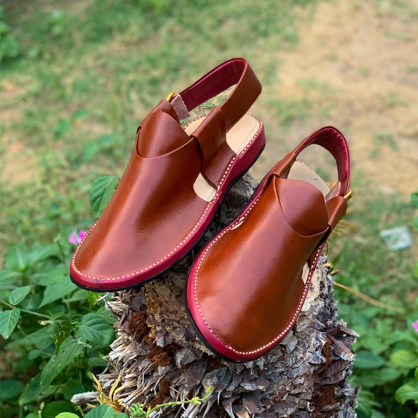 Premium Shoe Style - 976